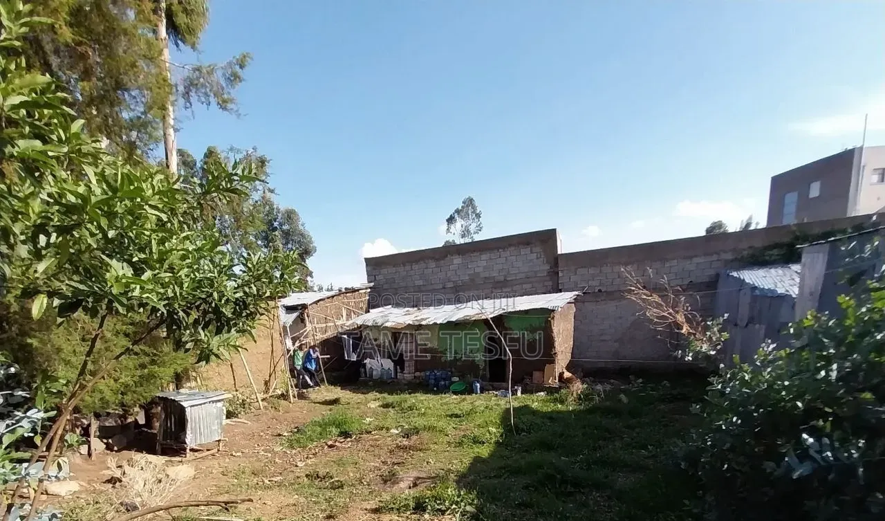 Furnished 1bdrm House in ኮቶቤ, Yeka for sale