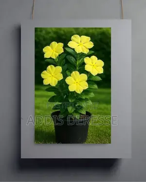 Vibrant Yellow Floral Wall Art