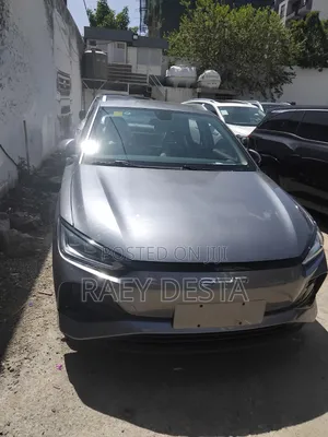 New BYD E2 43 kWh 94 hp FWD 2025 Gray