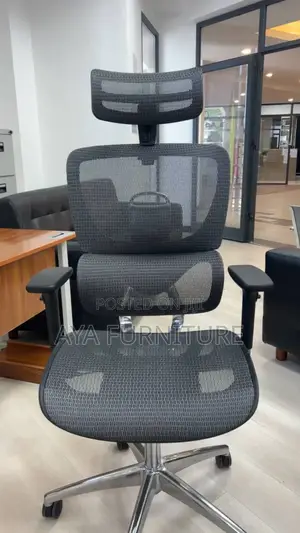 Ergonomic Chair