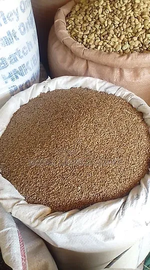 Tigray Flaxseed