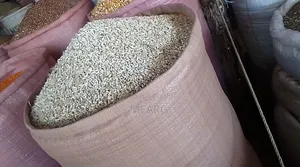 Tigray San Flower
