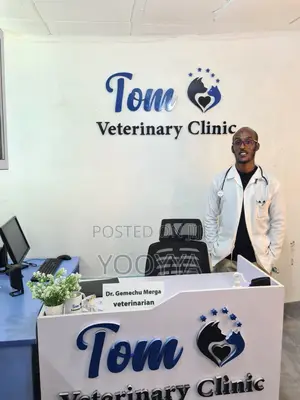 Veterinary Clinic– Quality Care for Your Pets | Tom Vet Clinic