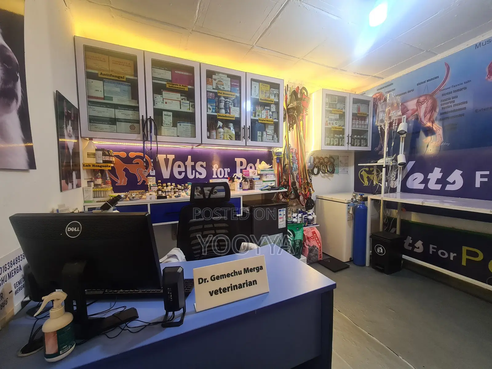 Veterinary Clinic– Quality Care for Your Pets | Tom Vet Clinic