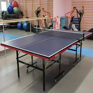 Indoor Foldeble Table Tennis With Delivery