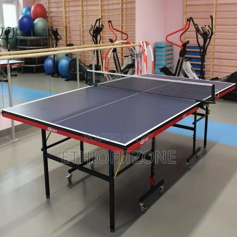 Indoor Foldeble Table Tennis With Delivery