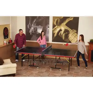 Indoor Foldeble Table Tennis With Delivery