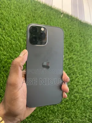 Apple iPhone 13 Pro Max 256 GB Gray