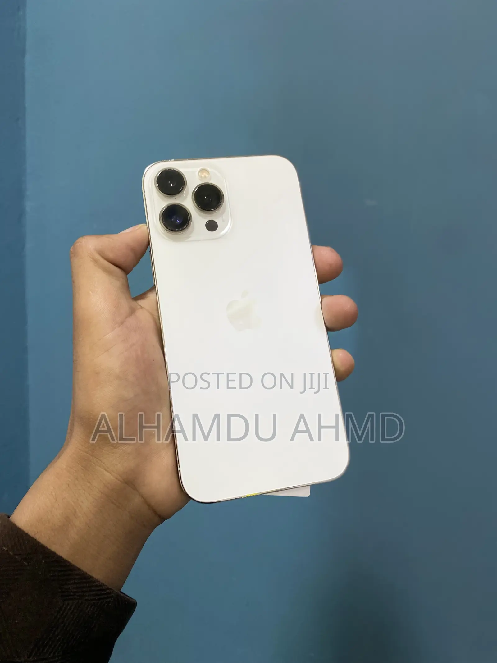 Apple iPhone 13 Pro Max 256 GB