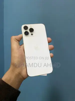 Apple iPhone 13 Pro Max 256 GB