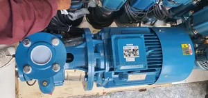 Centrfgale Pump