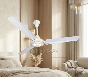 Ceiling Fan