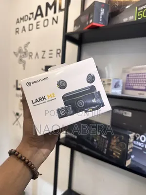 Hollyland Lark M2 Mic