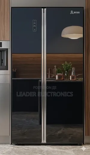 Boss Side-by-Side Refrigerator Model 850ss