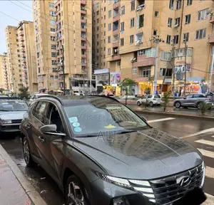 Hyundai Tucson 2022 Brown