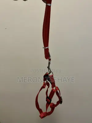 Dog Leashes