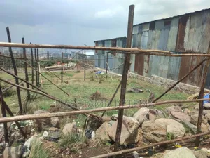 90ካሬ ቦታ(መሬት)