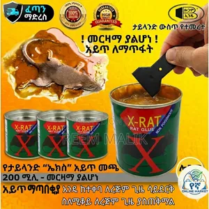 አይጥ ማጣበቂያ RatGlue