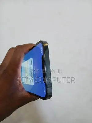 New Apple iPhone 12 Pro Max 256 GB Blue