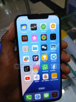 New Apple iPhone 12 Pro Max 256 GB Blue