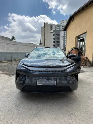 BYD Tang EV 2025 Gray