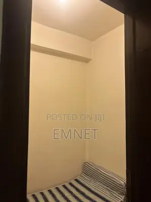 Furnished 1bdrm Apartment in Sunshine, Bole for rent