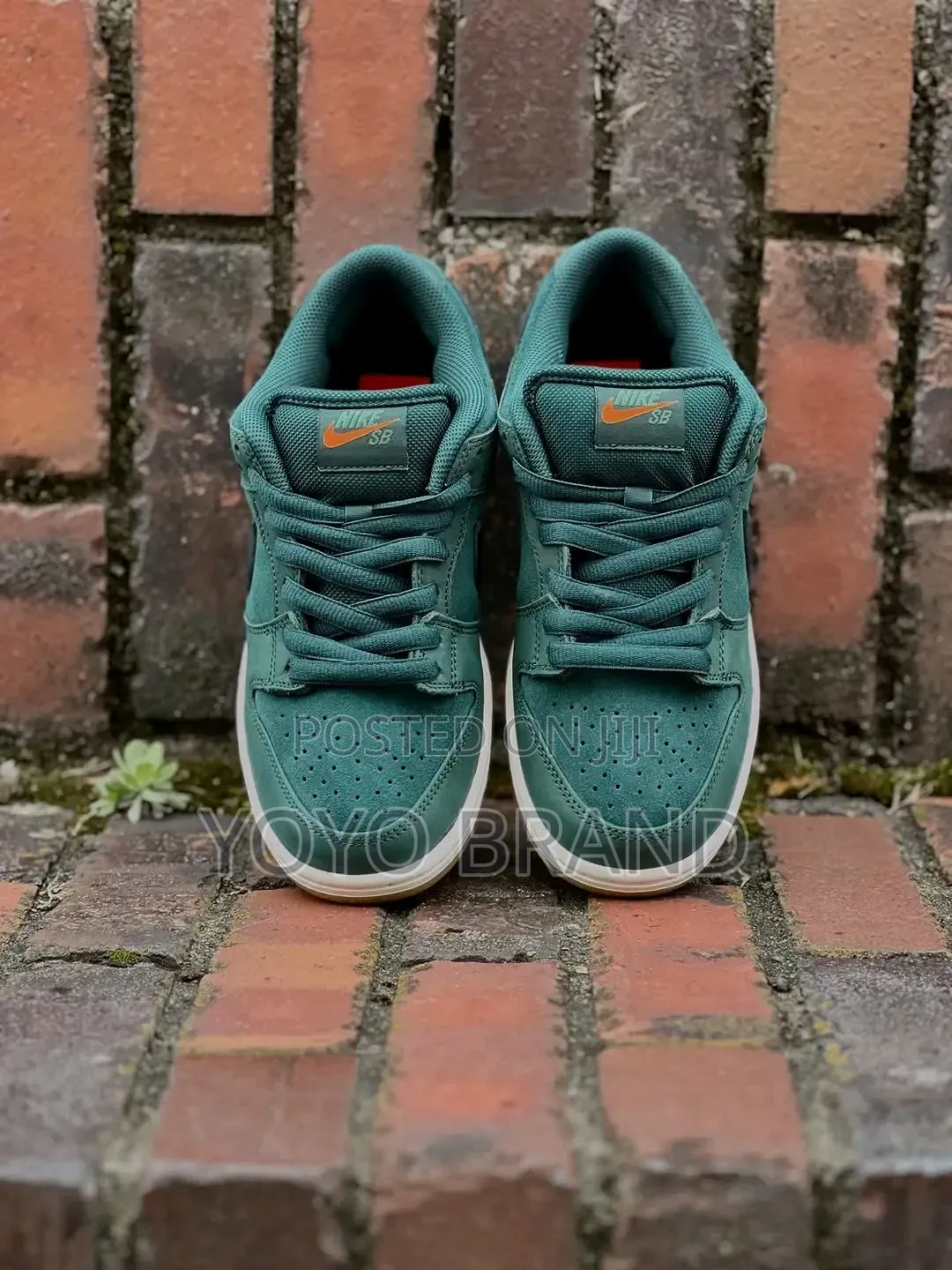 Nike Sb Dunk Low "Deep Fir"Dark Green Unisex Fashion Shoes