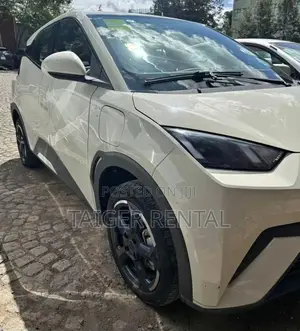 Byd Segull Rent