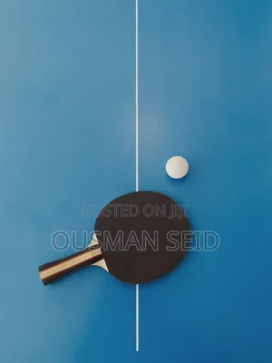 Tennis Table