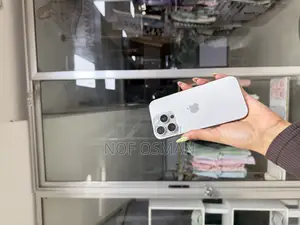 Apple iPhone 16 Pro 256 GB Silver