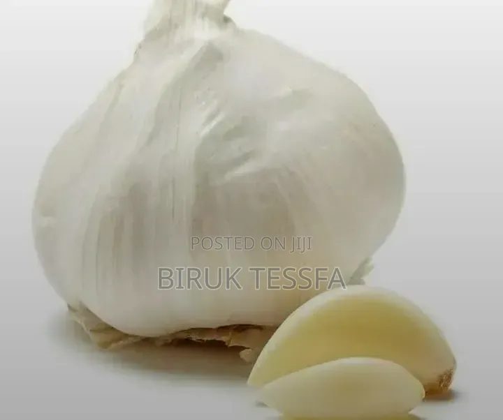 ነጭ ሽንኩርት (White Onion)