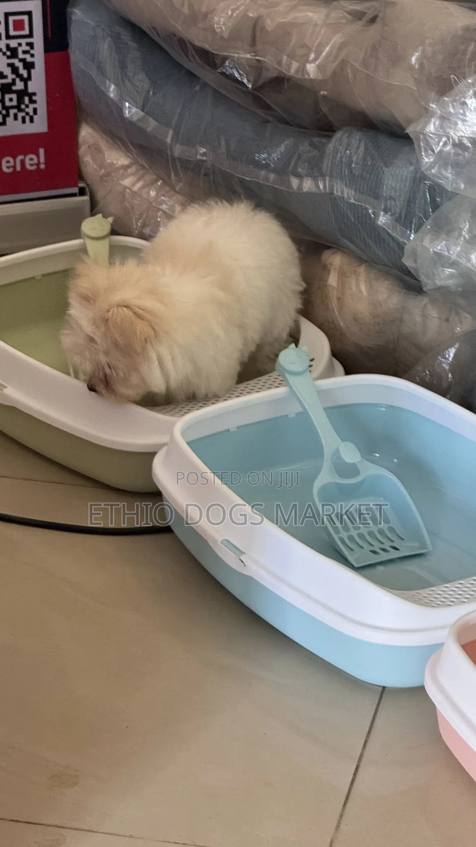 Cat Litter Boxes