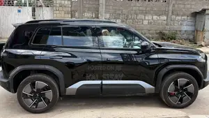 New BYD Leopard 3 2025 Black