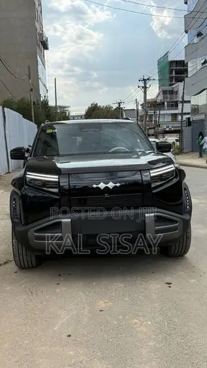New BYD Leopard 3 2025 Black