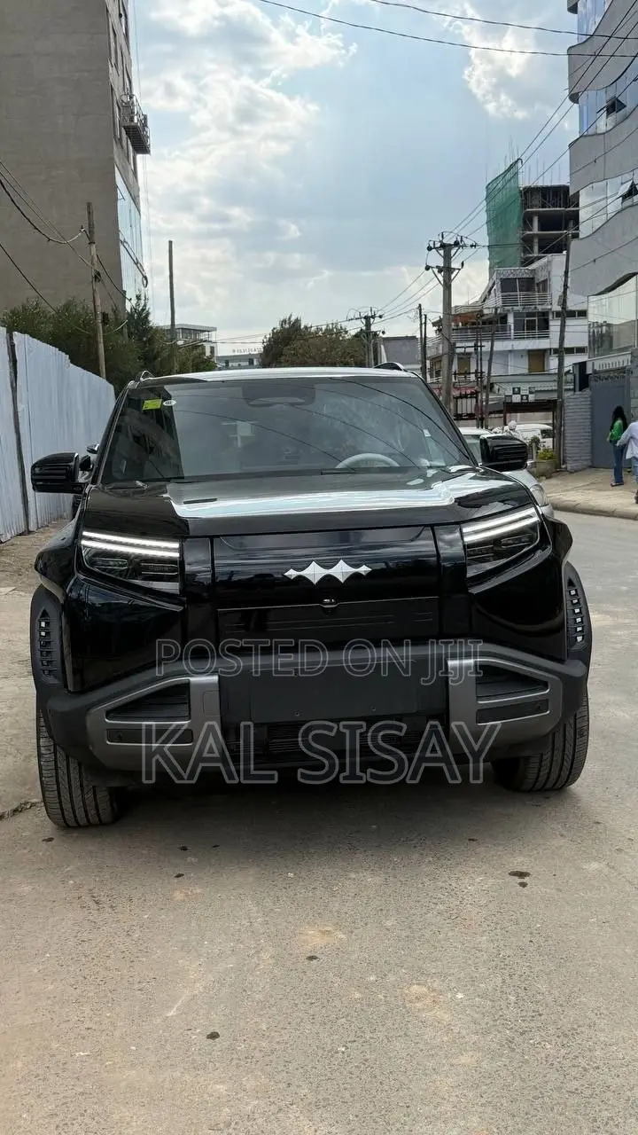 New BYD Leopard 3 2025 Black