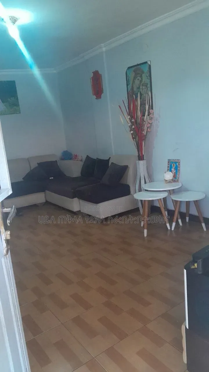Furnished 2bdrm Condo in Hayat Mebirat Hayli, Yeka for sale