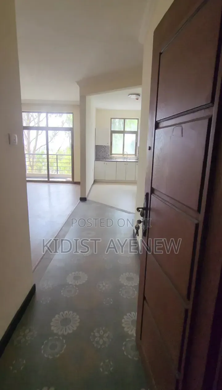 Furnished 3bdrm Apartment in Bole for sale