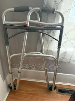Walkers Much Prefer Walker Skis and Great to Get You Moving Grooving