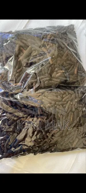 ቁንዶ በርበሬ ወይም ጥምዝ (Long Pepper)
