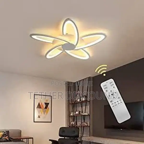 Led Dimmable Flower Shape Light ከው ጪ የገባመ ብራ ት ጌጥ 70cm