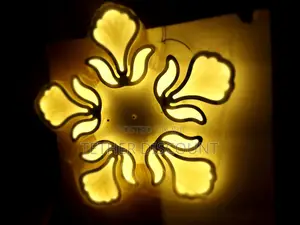 Led Dimmable Flower Shape Light ከው ጪ የገባመ ብራ ት ጌጥ 70cm