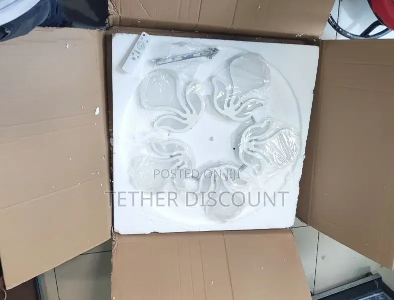 Led Dimmable Flower Shape Light ከው ጪ የገባመ ብራ ት ጌጥ 70cm