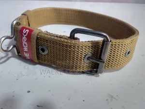 Collar Different Size Coler