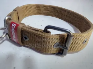 Collar Different Size Coler