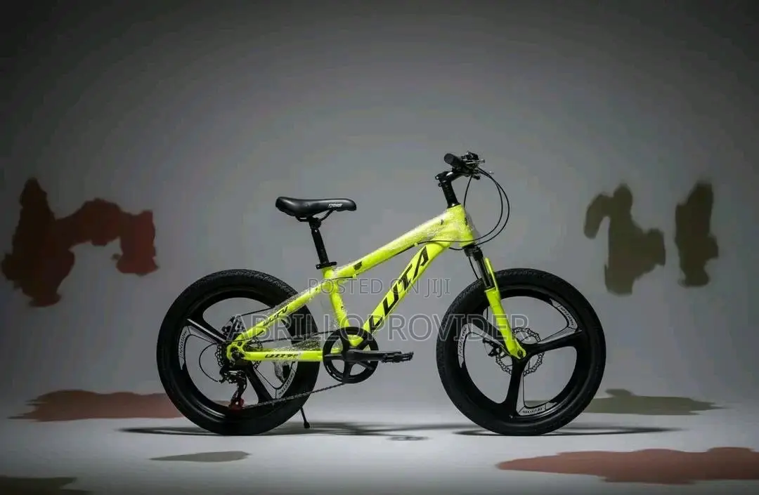 Luta 20 Inch Bicycle