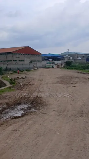 የሚሸጥ 10000, ካሬ መሬት