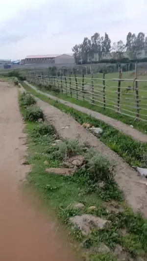 የሚሸጥ 10000, ካሬ መሬት