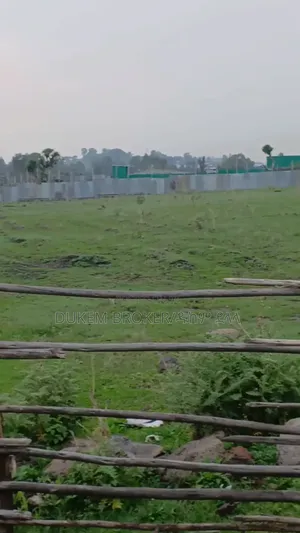 የሚሸጥ 10000, ካሬ መሬት
