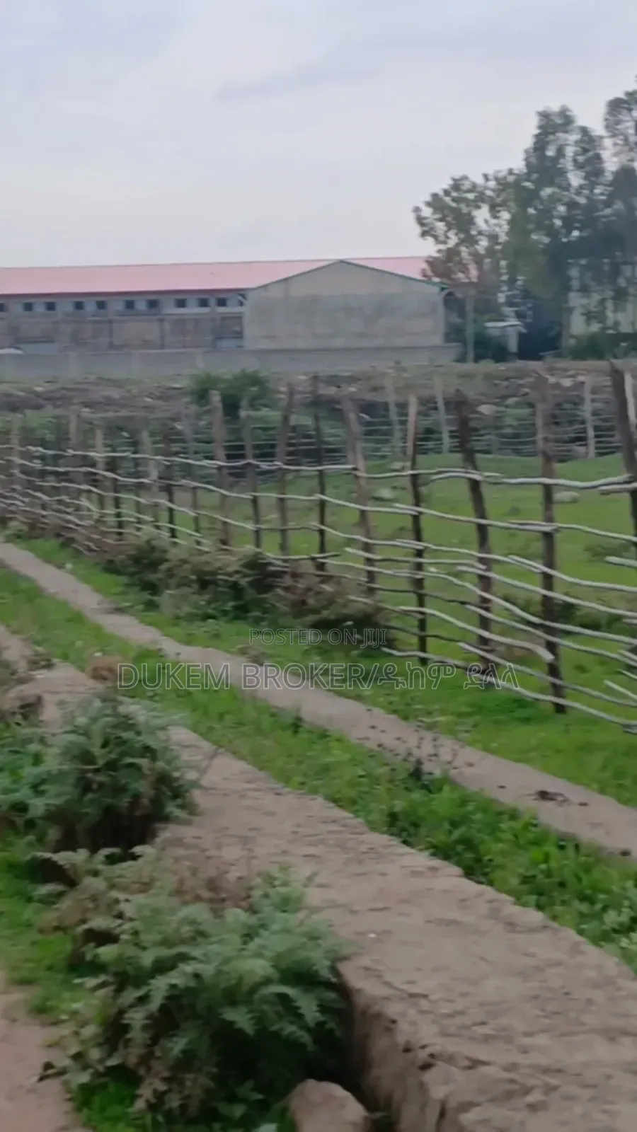 የሚሸጥ 10000, ካሬ መሬት