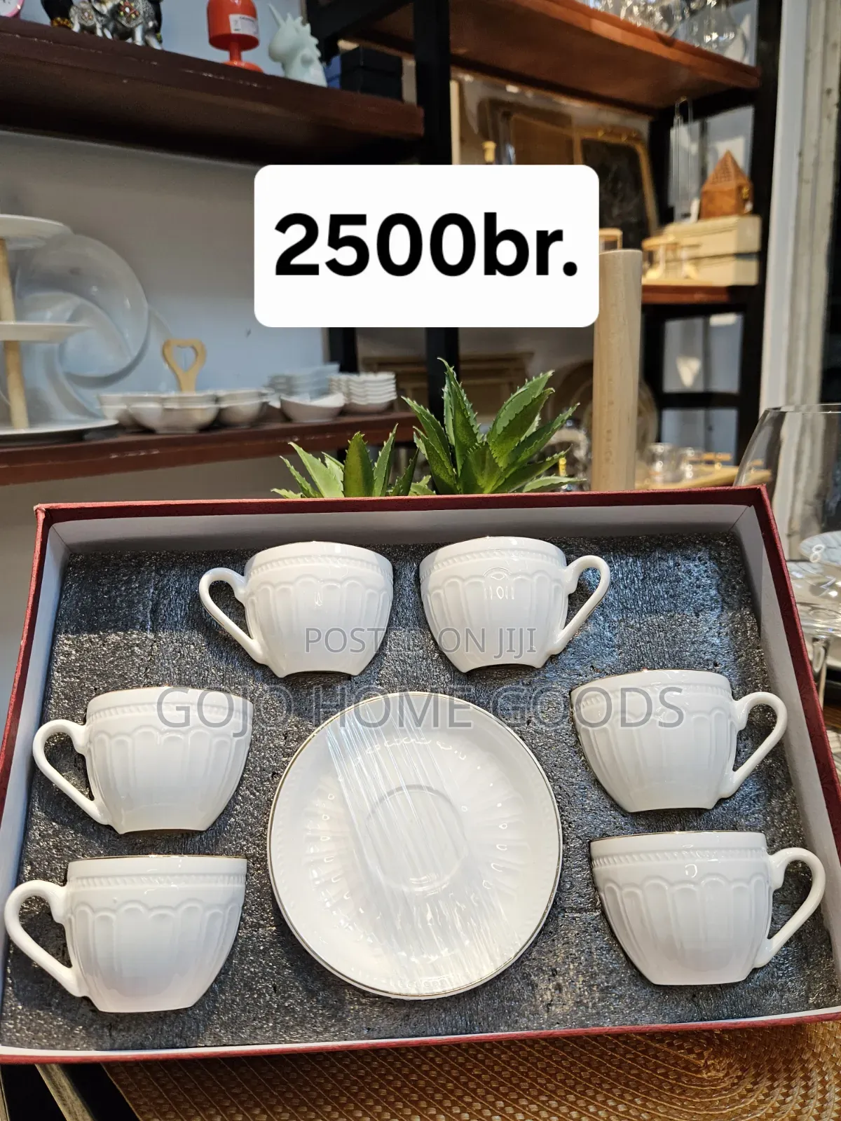 Coffee Cup